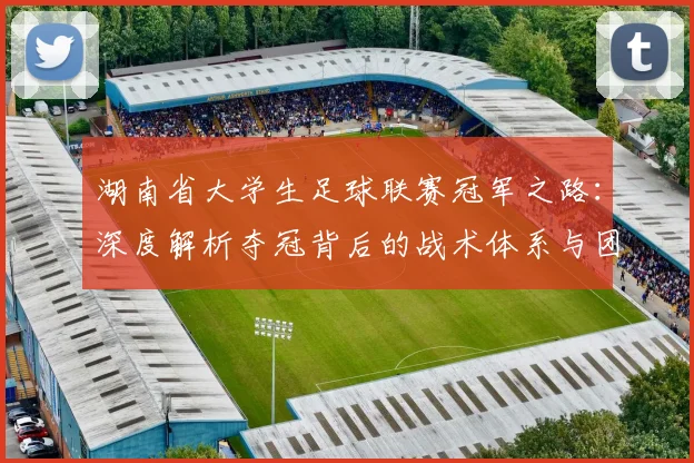 湖南省大学生足球联赛冠军之路:深度解析夺冠背后的战术体系与团队精神
